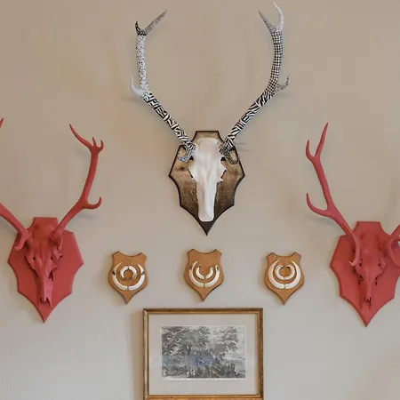 Vintage Forest Retreat, Cleaning Included